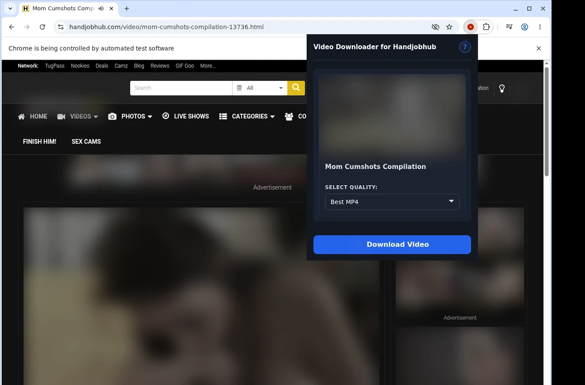 HandjobHub Video Downloader ready state screenshot