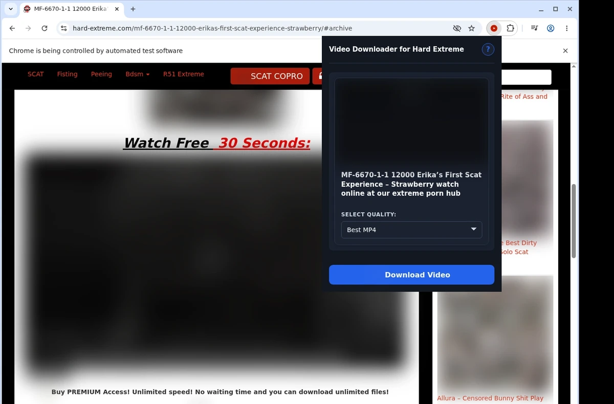 Hard Extreme Video Downloader ready state screenshot