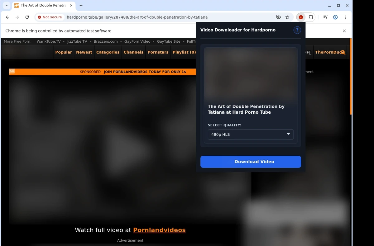 HardPorno.tube Video Downloader ready state screenshot