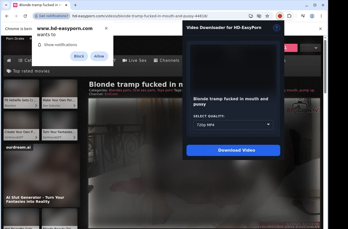 HD Easy Porn Video Downloader ready state screenshot