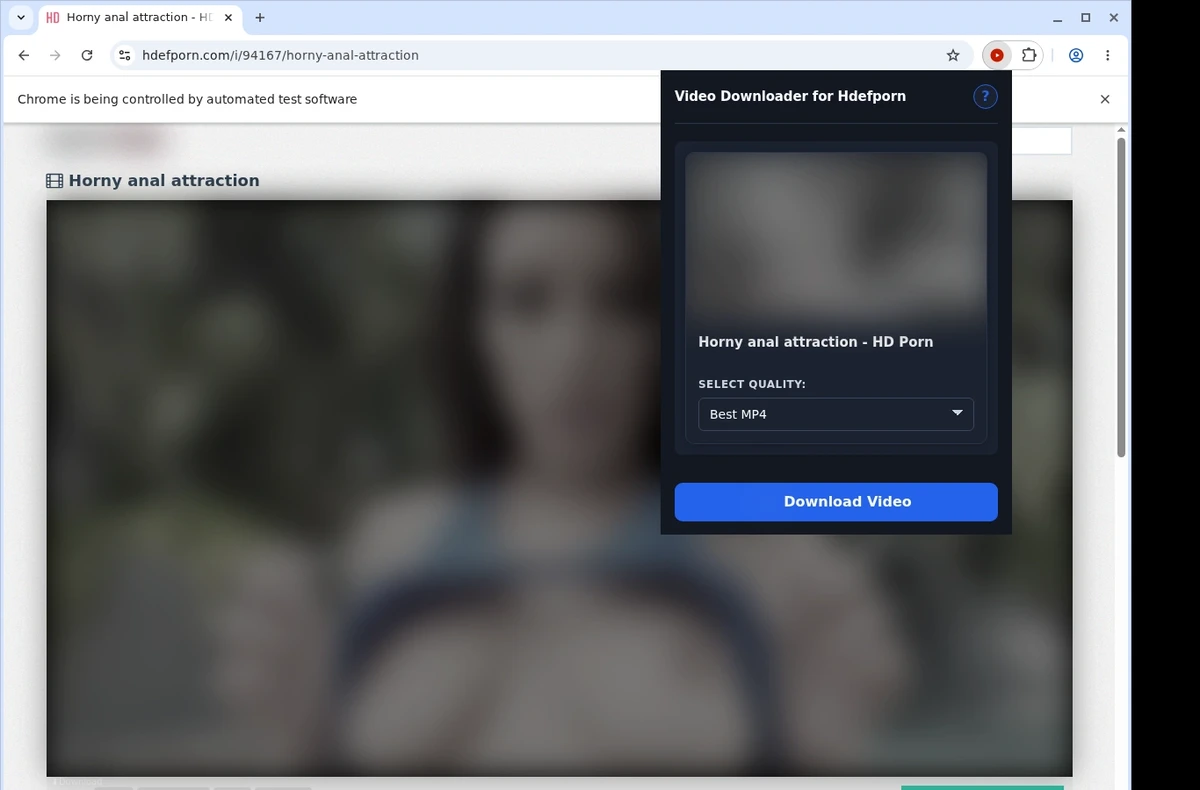 Hdefporn Video Downloader ready state screenshot