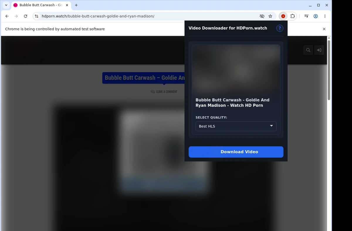 HDPorn.watch Video Downloader ready state screenshot