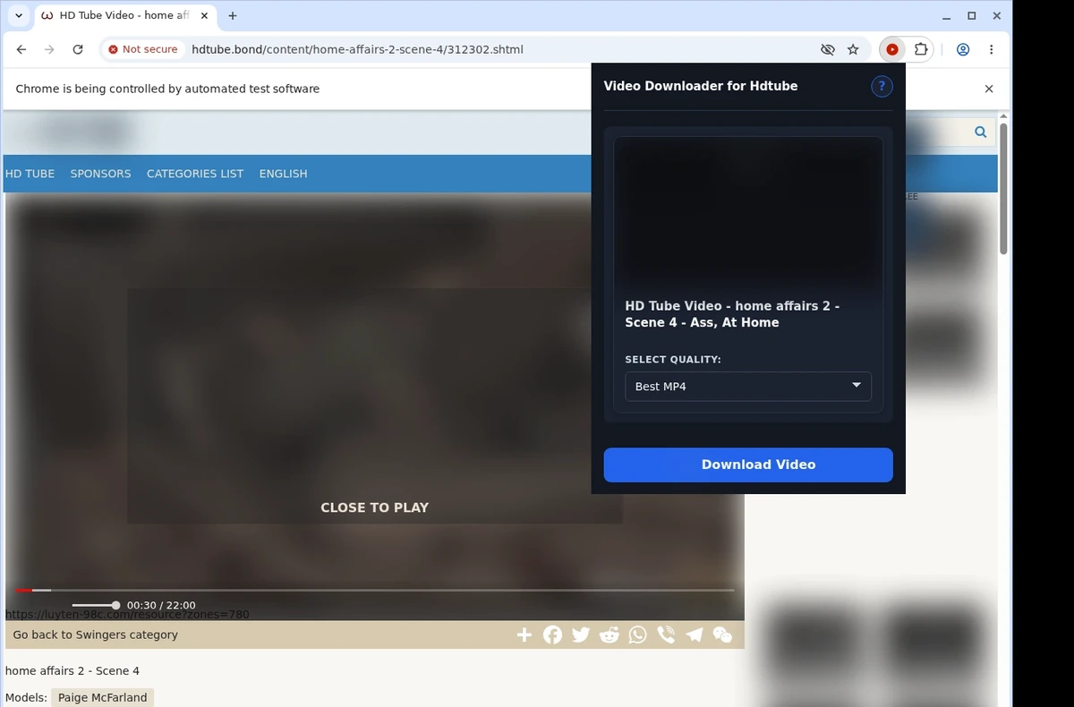 HDTube Video Downloader ready state screenshot