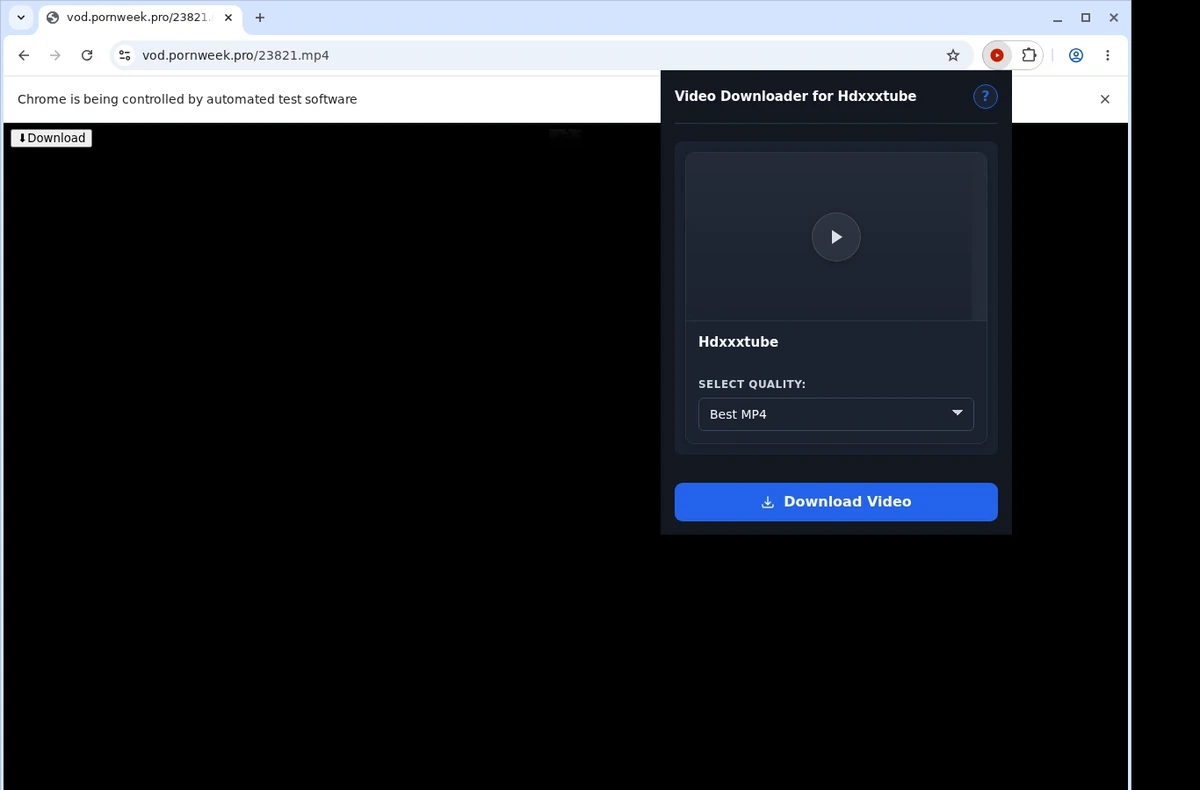 HDXXXTUBE Video Downloader ready state screenshot