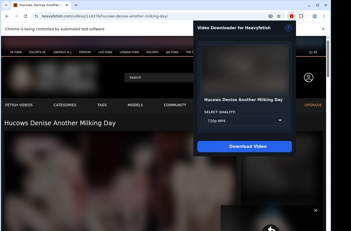 HeavyFetish Video Downloader ready state screenshot