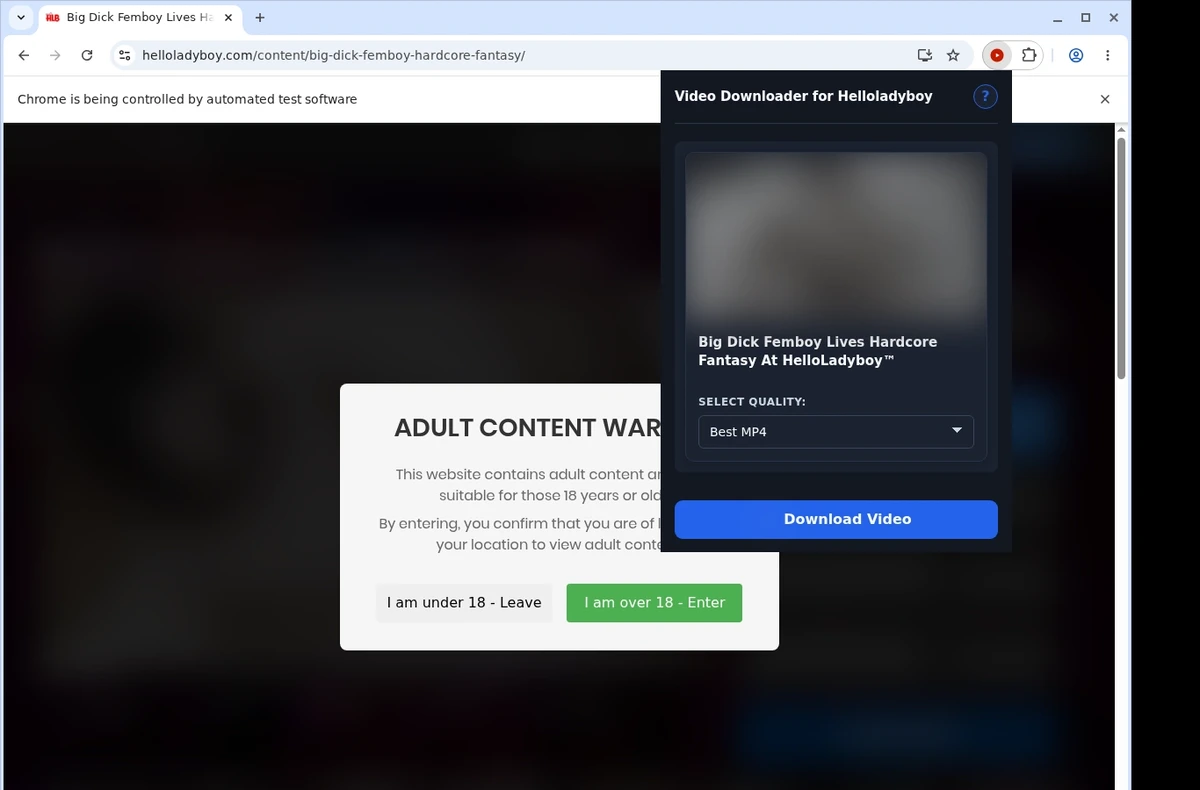 HelloLadyboy Video Downloader ready state screenshot