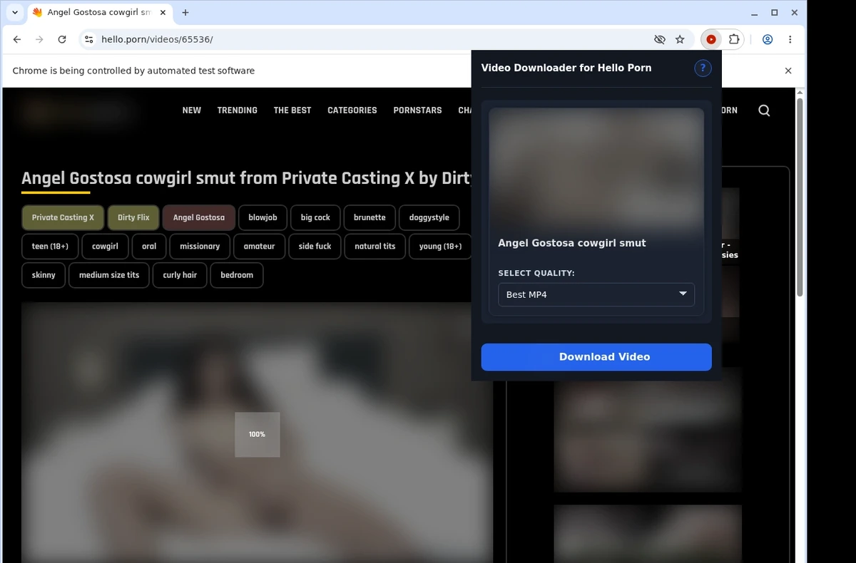 Porn Picture