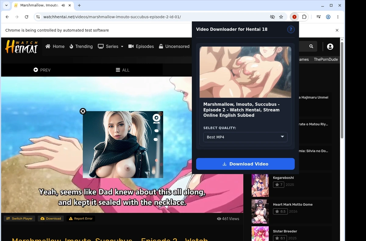 Hentai18 Video Downloader ready state screenshot