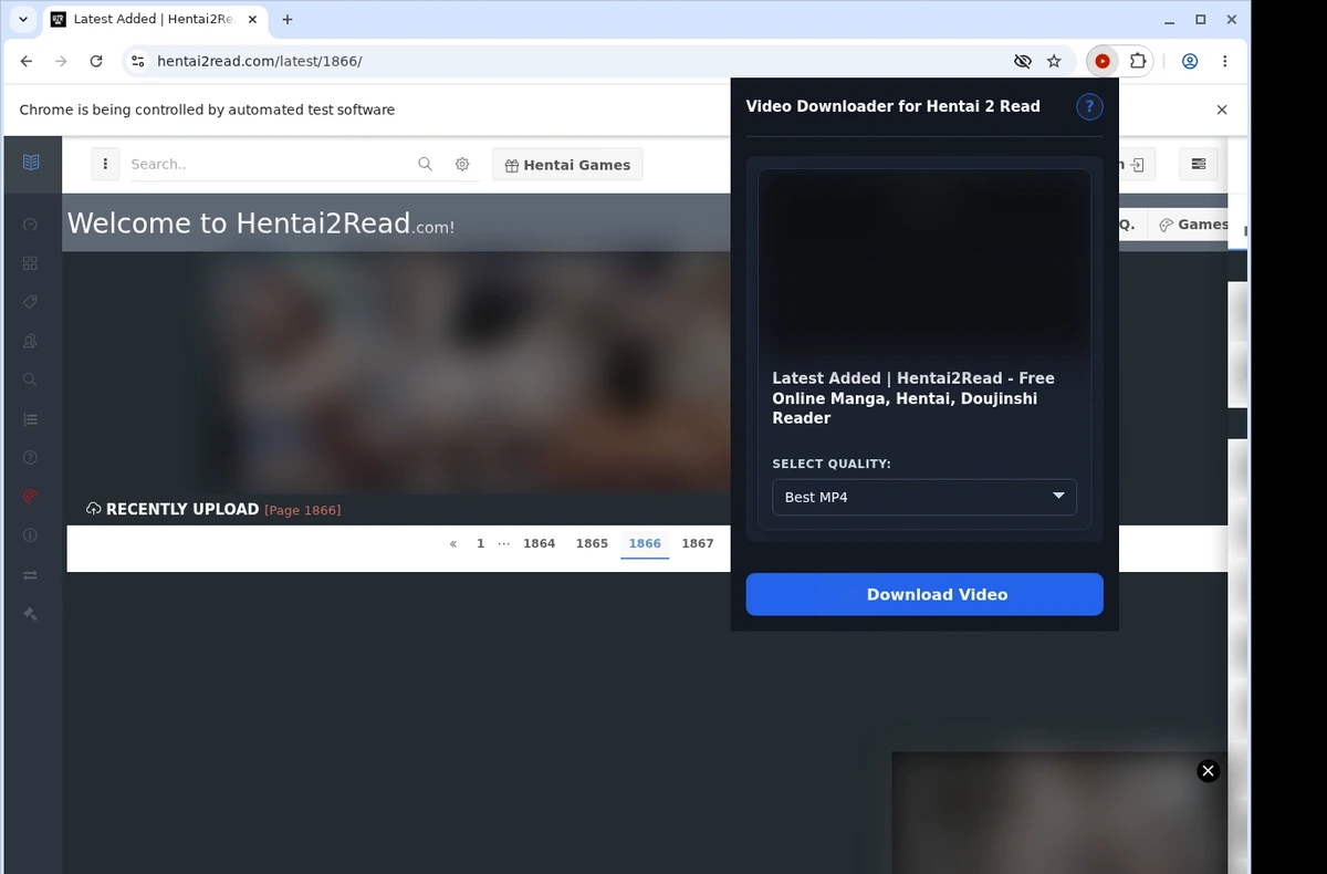 Hentai2Read Video Download Helper ready state screenshot