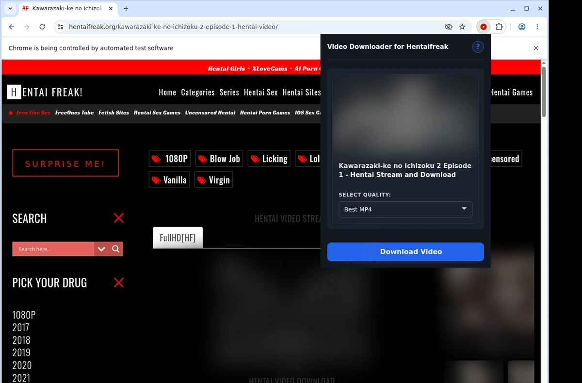 HentaiFreak Video Downloader ready state screenshot