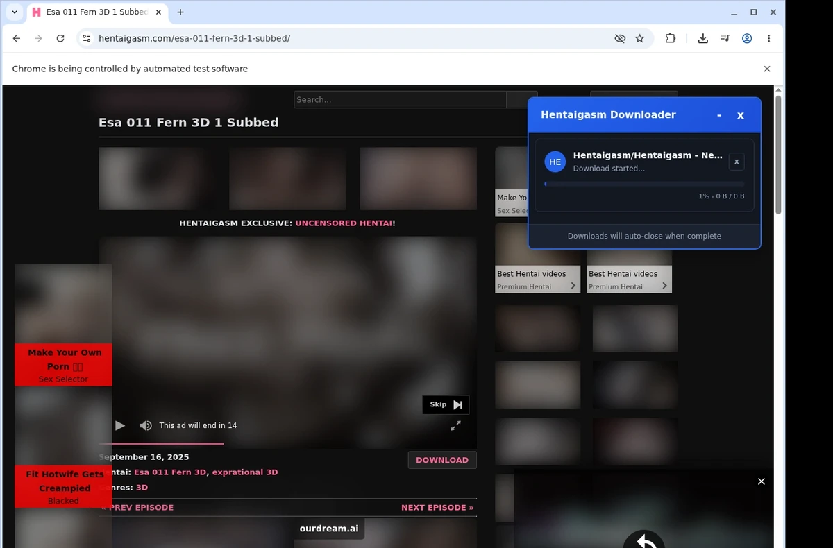 HentaiGasm Video Downloader ready state screenshot