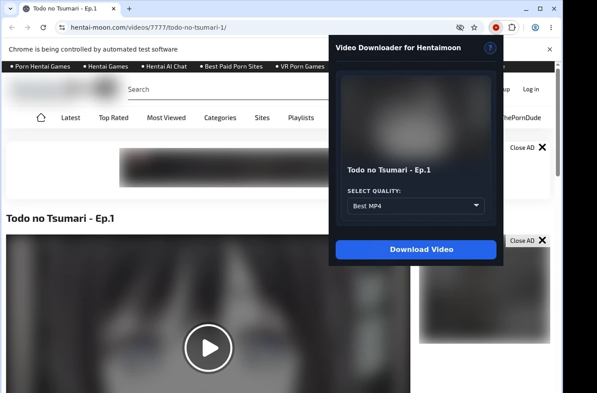 Hentai Moon Video Downloader ready state screenshot