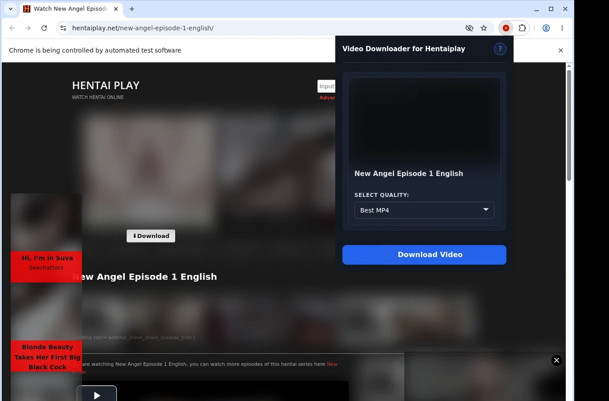 HentaiPlay Video Downloader ready state screenshot