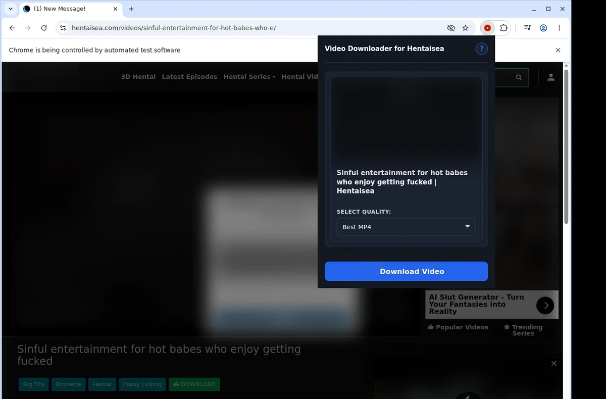 HentaiSea Video Downloader ready state screenshot