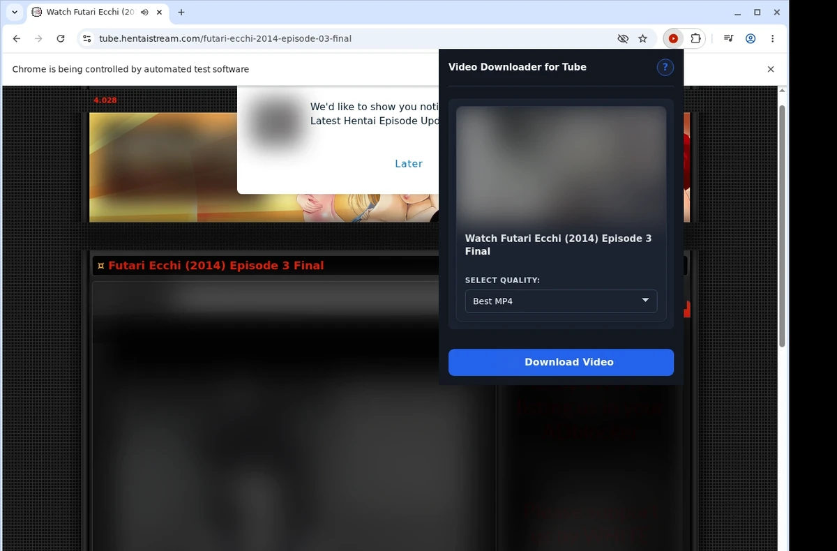 HentaiStream Video Downloader ready state screenshot