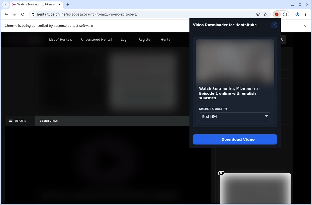 HentaiTube Video Downloader ready state screenshot