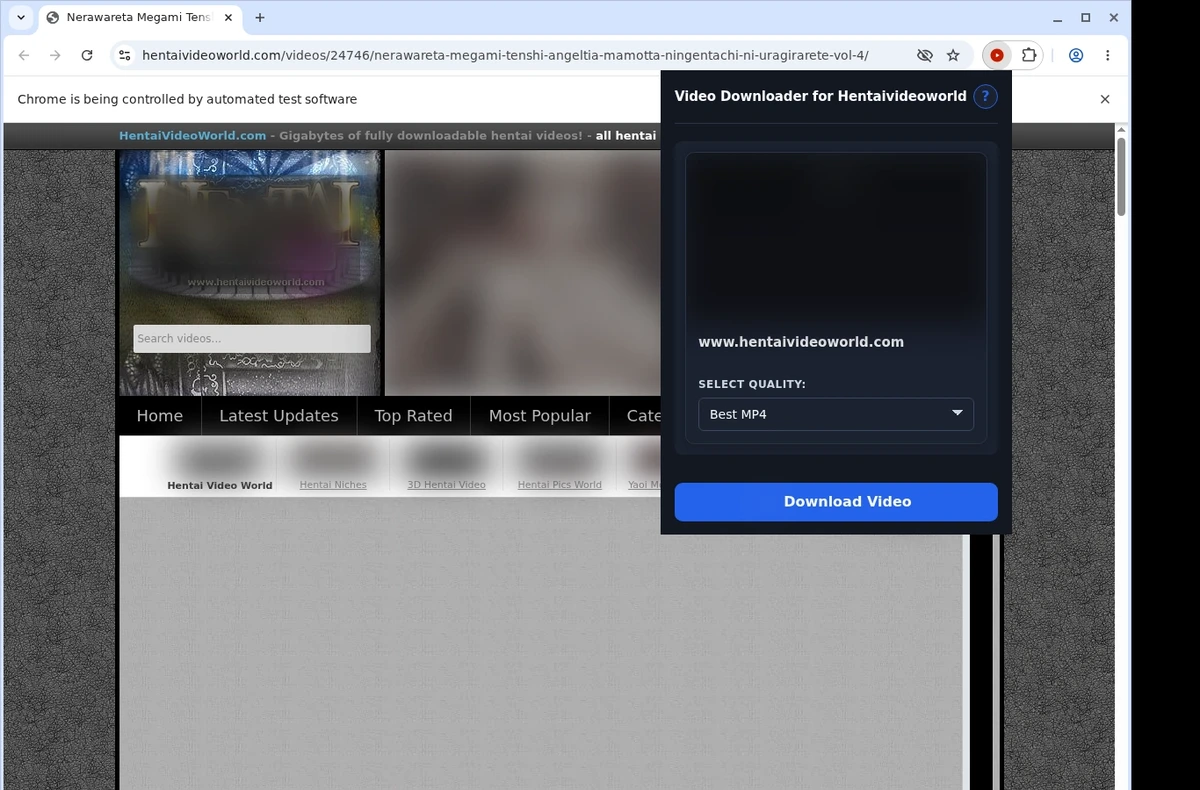 HentaiVideoWorld Video Downloader ready state screenshot