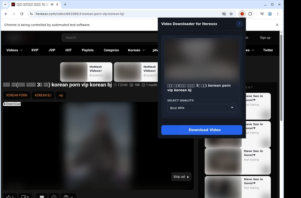 Herexxx Downloader ready state screenshot