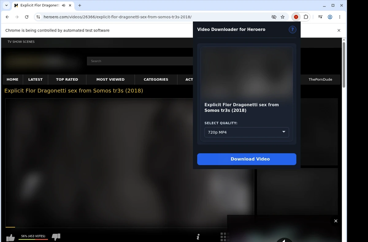 Heroero Video Downloader ready state screenshot