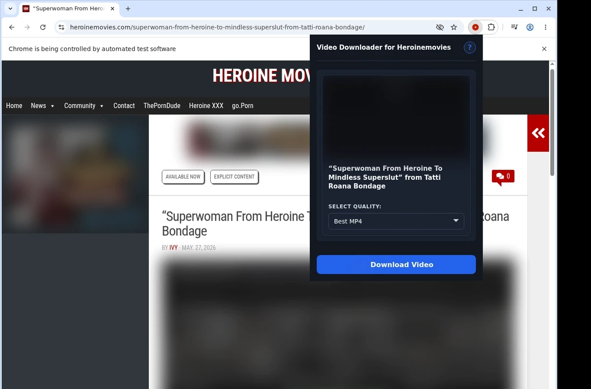 HeroineMovies Video Downloader ready state screenshot