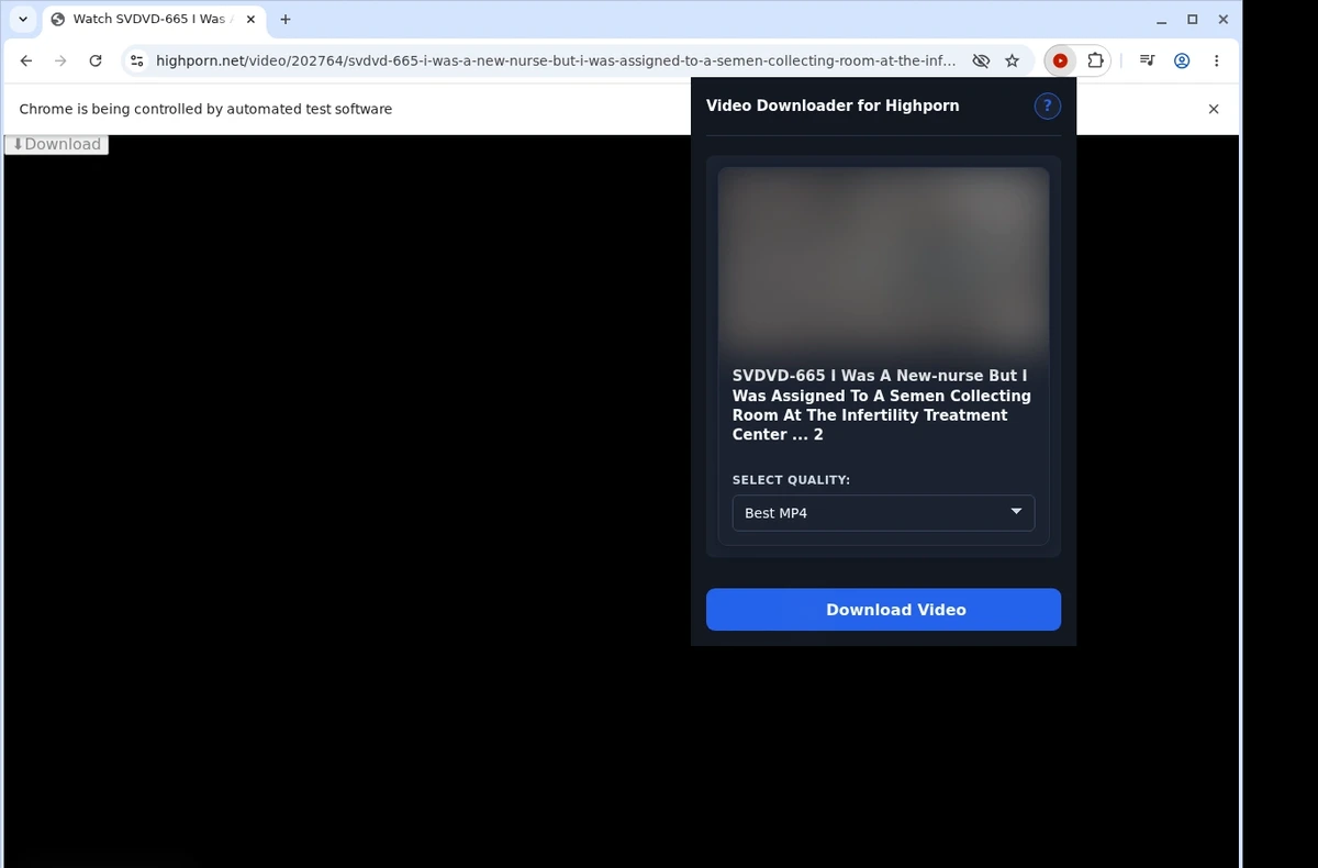 Highporn Downloader ready state screenshot