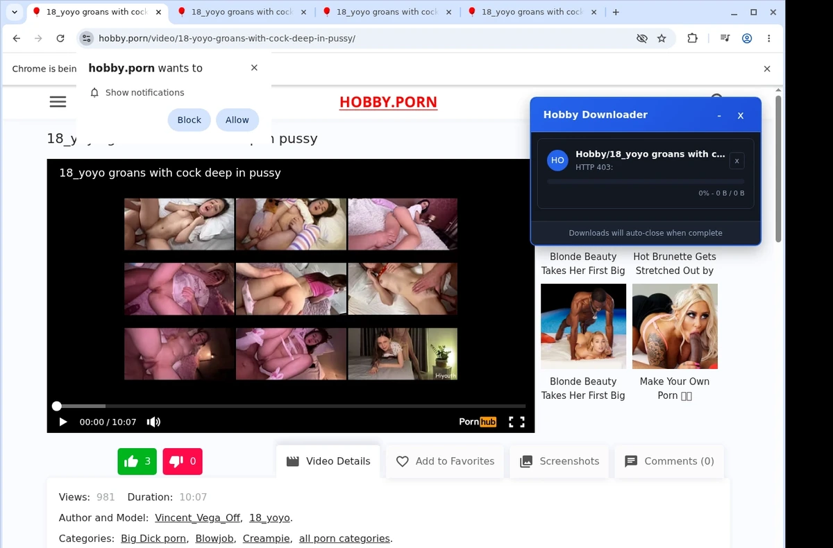 Hobby.porn Video Downloader ready state screenshot