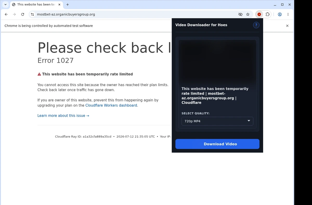 Hoes Video Downloader ready state screenshot