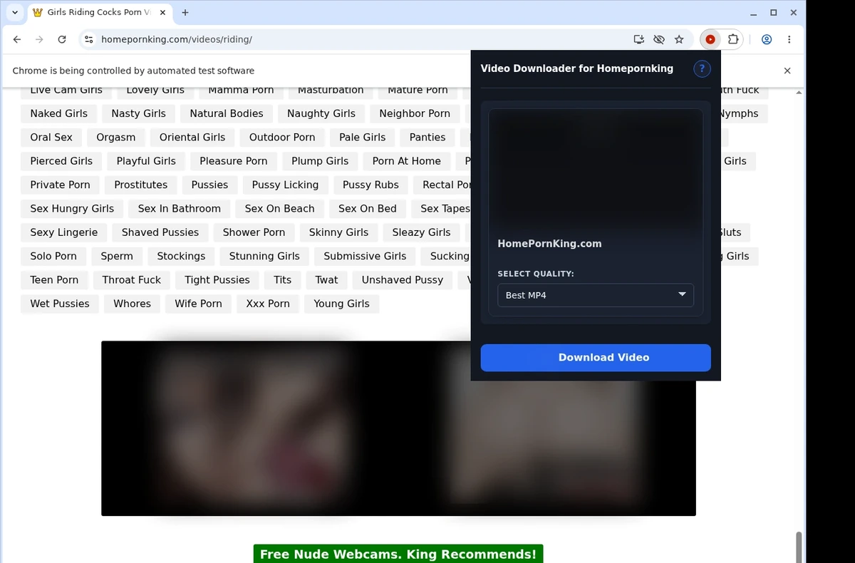 HomePornKing Video Downloader ready state screenshot