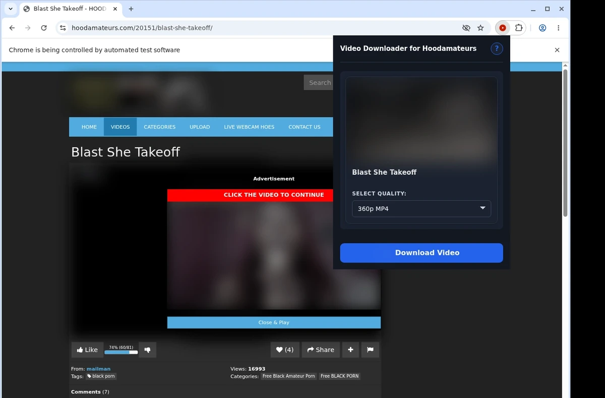 HoodAmateurs Video Downloader ready state screenshot