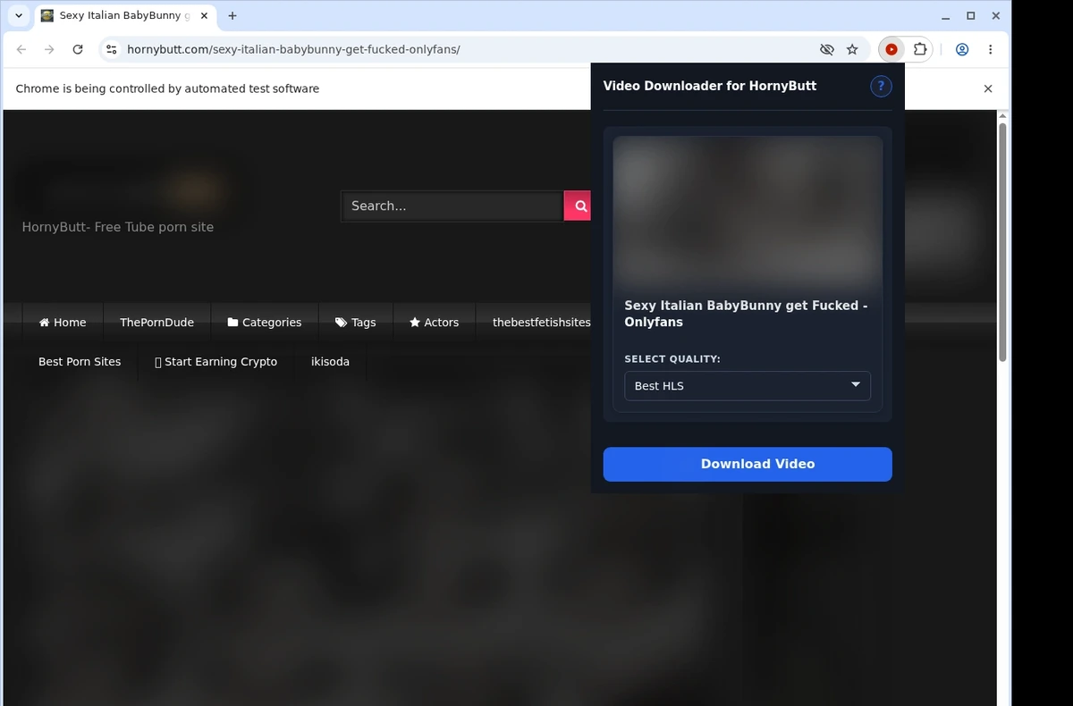 HornyButt Video Downloader ready state screenshot