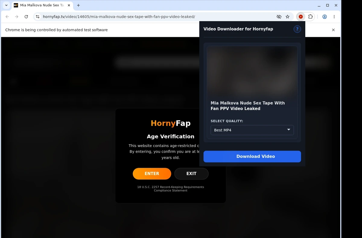HornyFap Video Downloader ready state screenshot