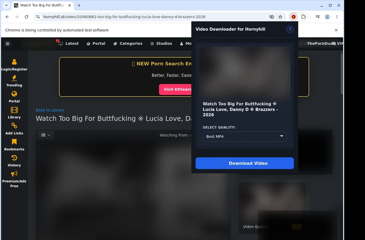 HornyHill Video Downloader ready state screenshot