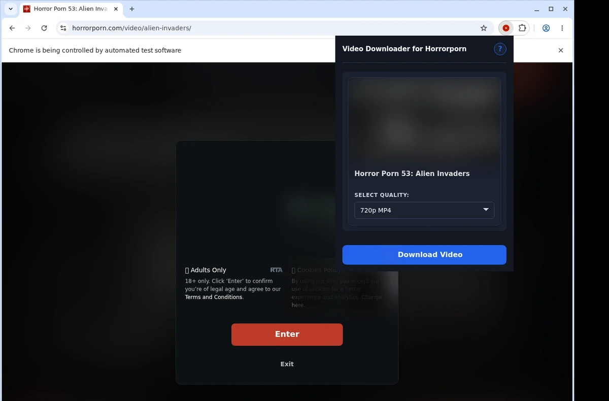 HorrorPorn Video Downloader ready state screenshot