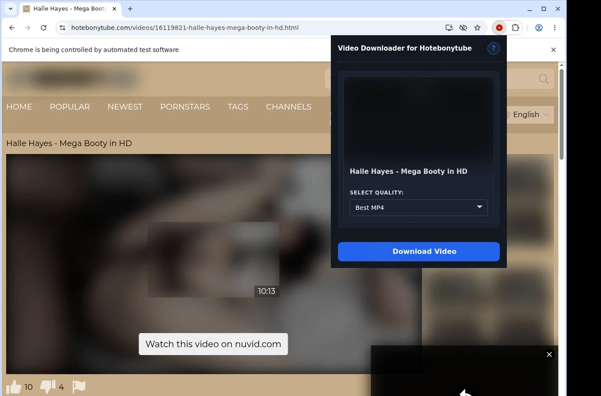 HotEbonyTube Video Downloader ready state screenshot