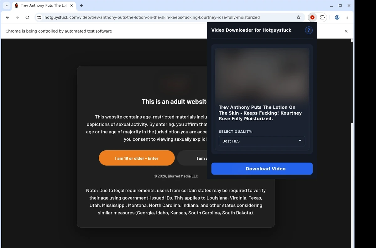 HotGuysFuck Video Downloader ready state screenshot