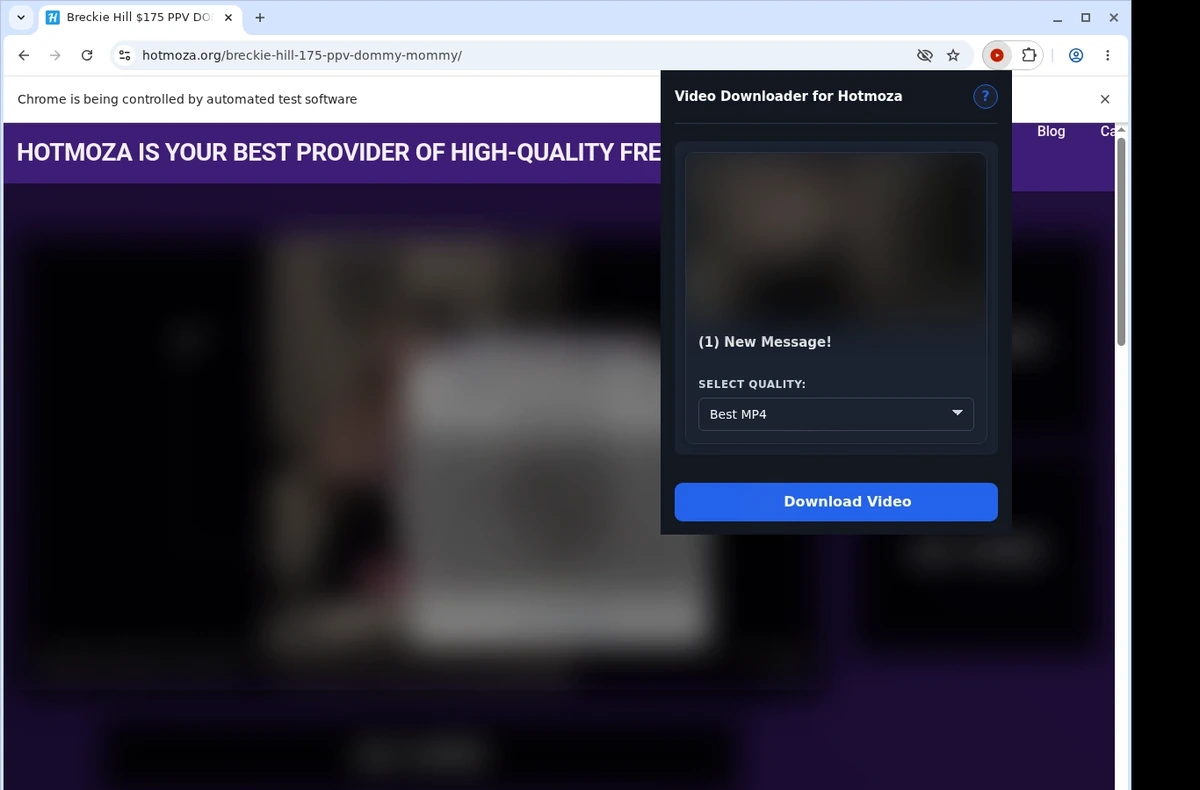Hotmoza Video Downloader ready state screenshot