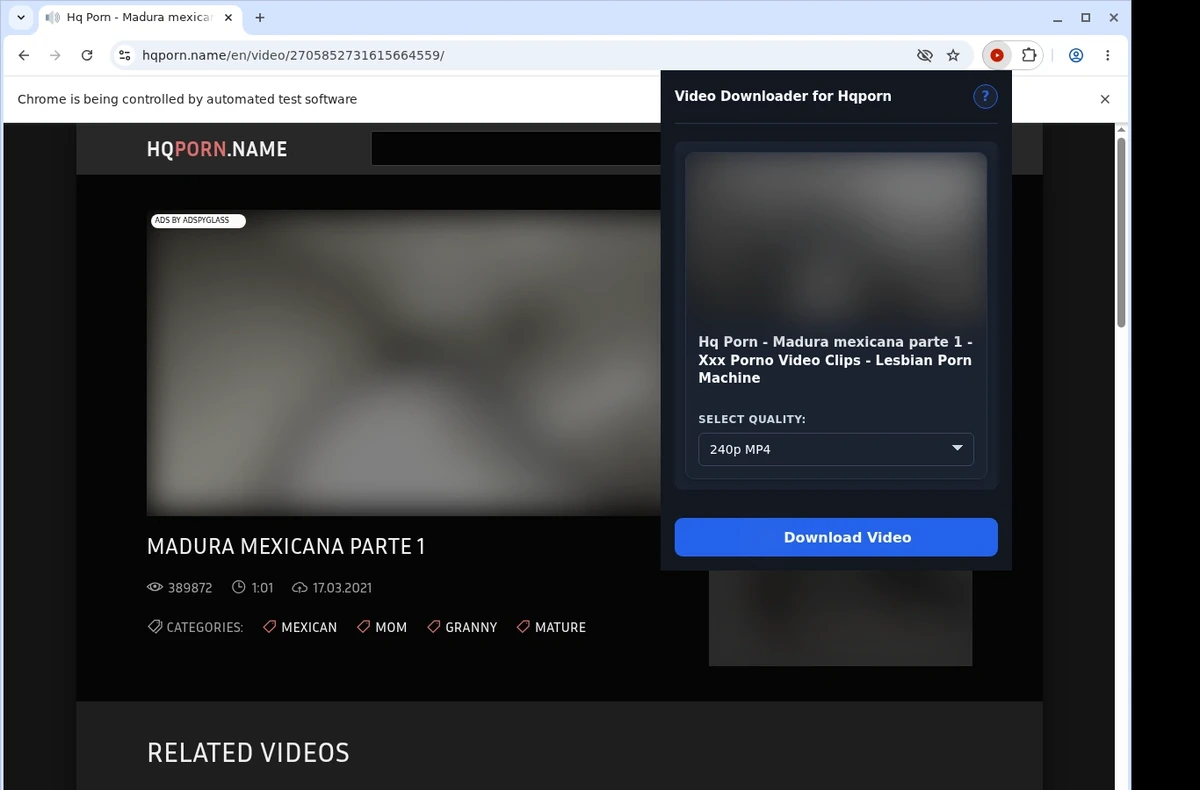 HQPorn Downloader ready state screenshot