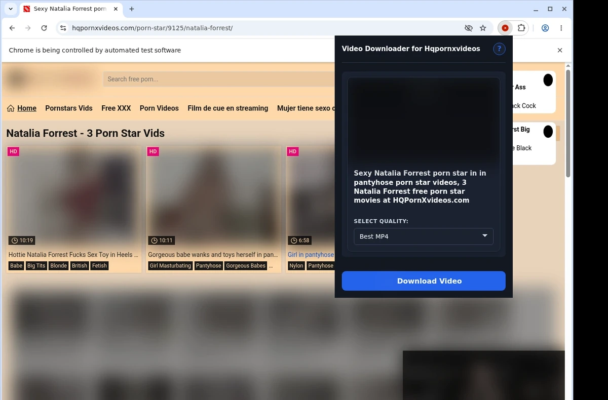HQPornXVideos Video Downloader ready state screenshot