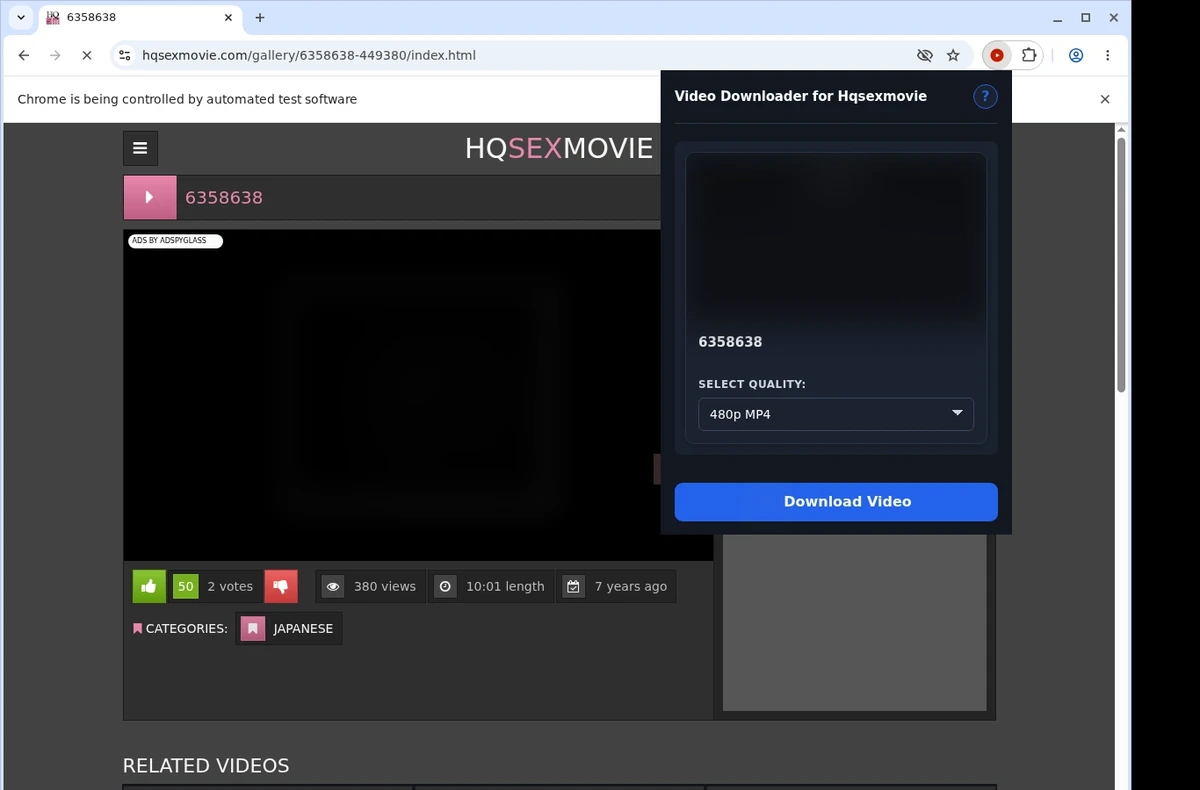 HQSexMovie Downloader ready state screenshot