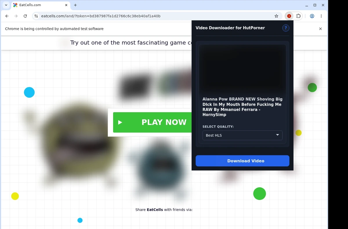 HutPorner Video Downloader ready state screenshot