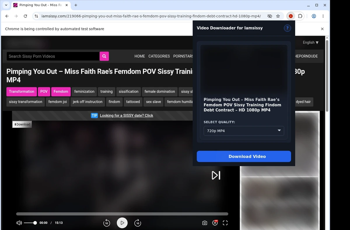 IAmSissy Video Downloader ready state screenshot