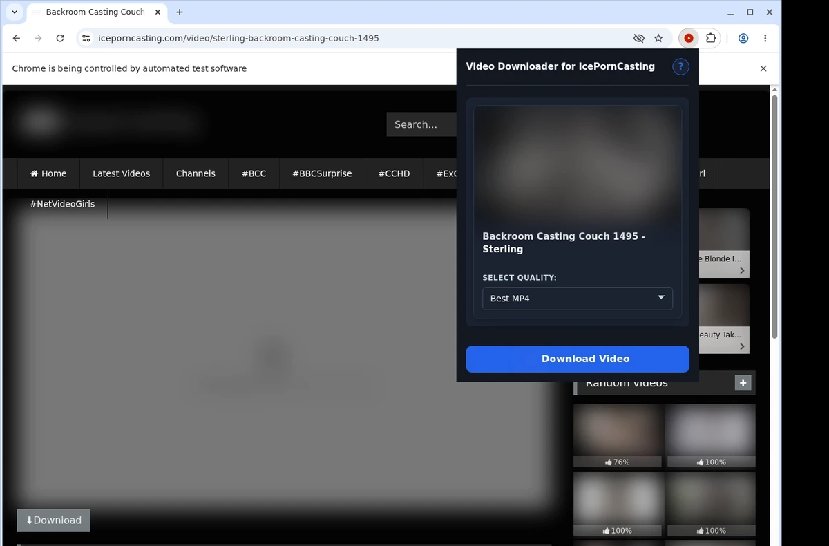 IcePornCasting Video Downloader ready state screenshot