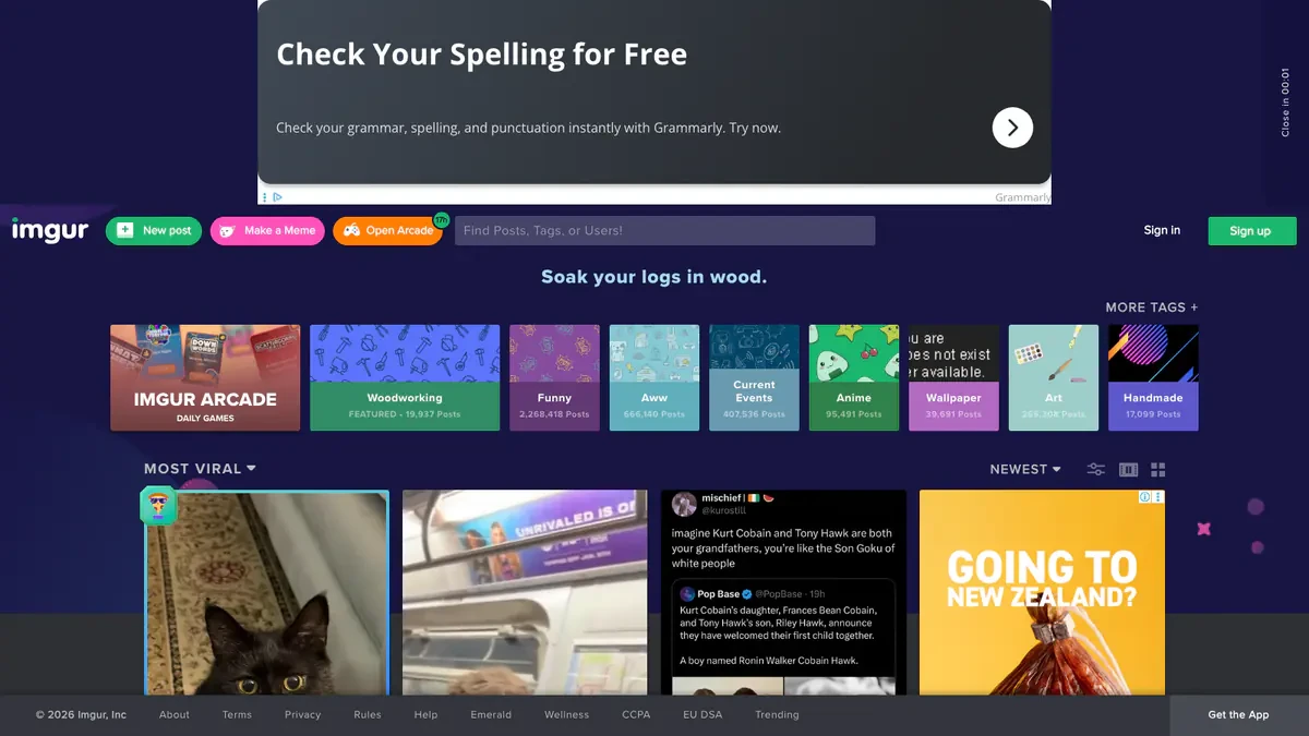 Imgur Downloader website preview