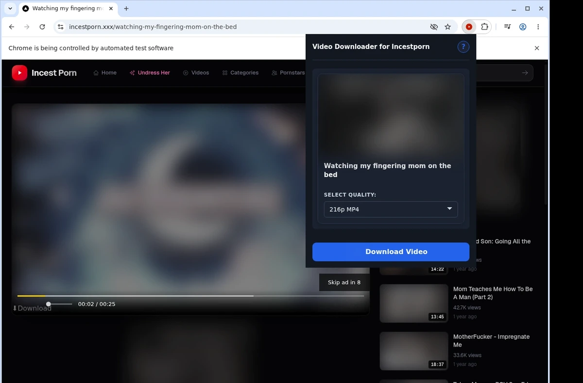 IncestPorn Video Downloader ready state screenshot