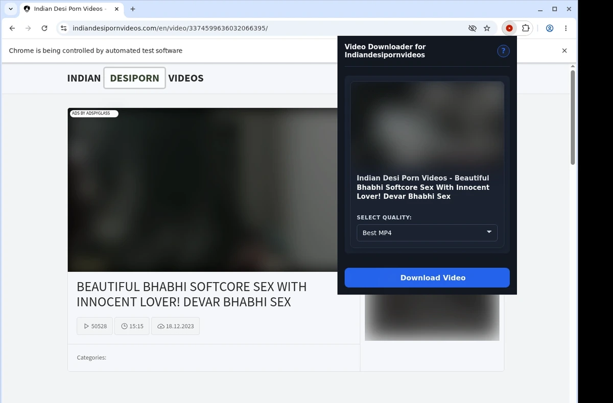Indiandesipornvideos Downloader ready state screenshot