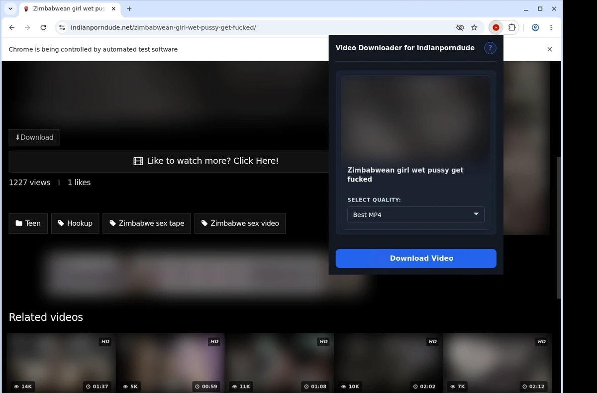 IndianPornDude Video Downloader ready state screenshot