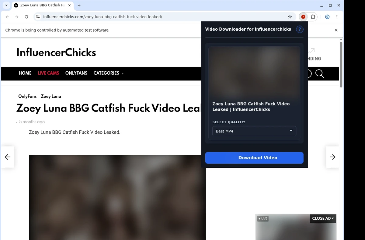 InfluencerChicks Video Downloader ready state screenshot