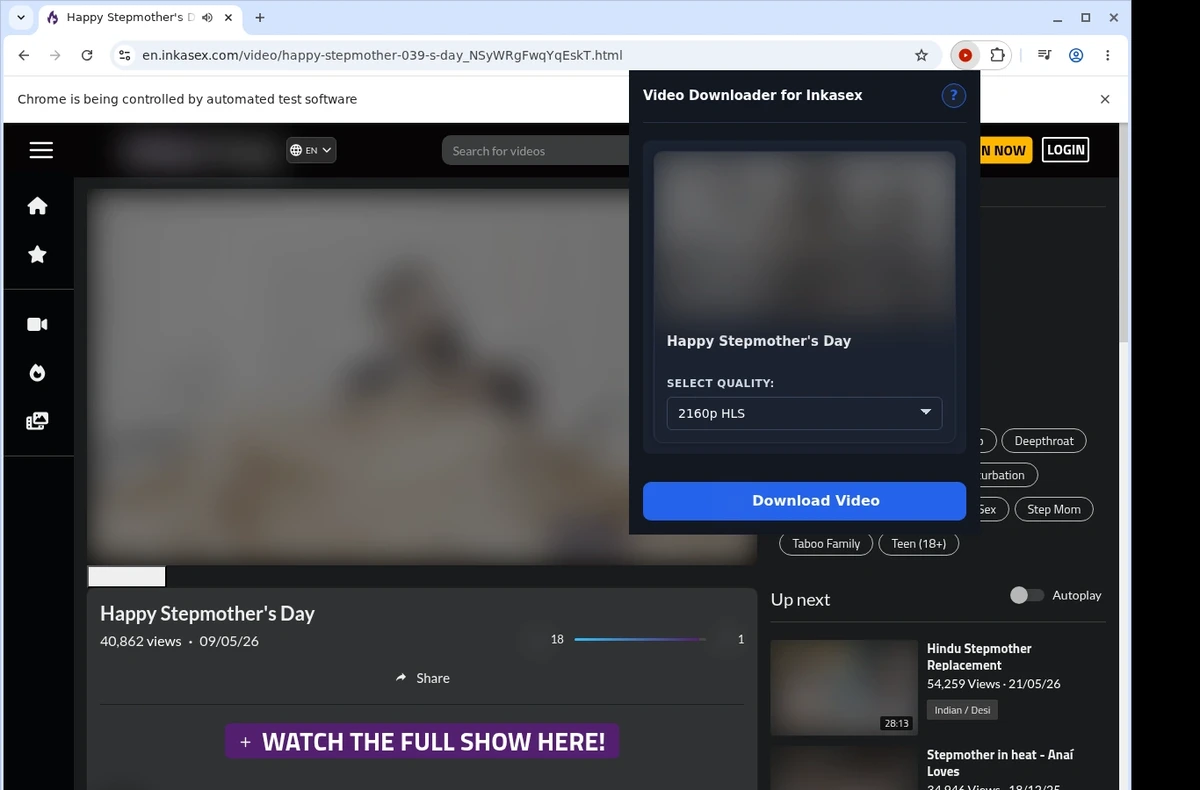 InkaSex Video Downloader ready state screenshot