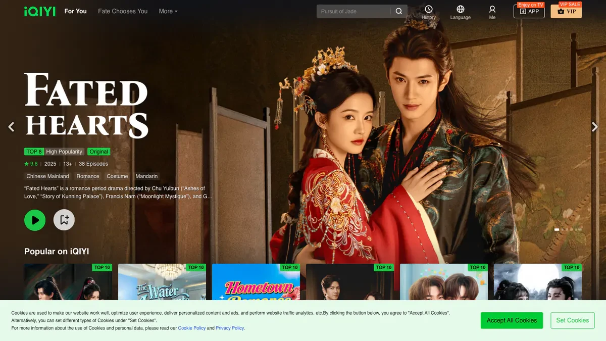 iQIYI Downloader website preview