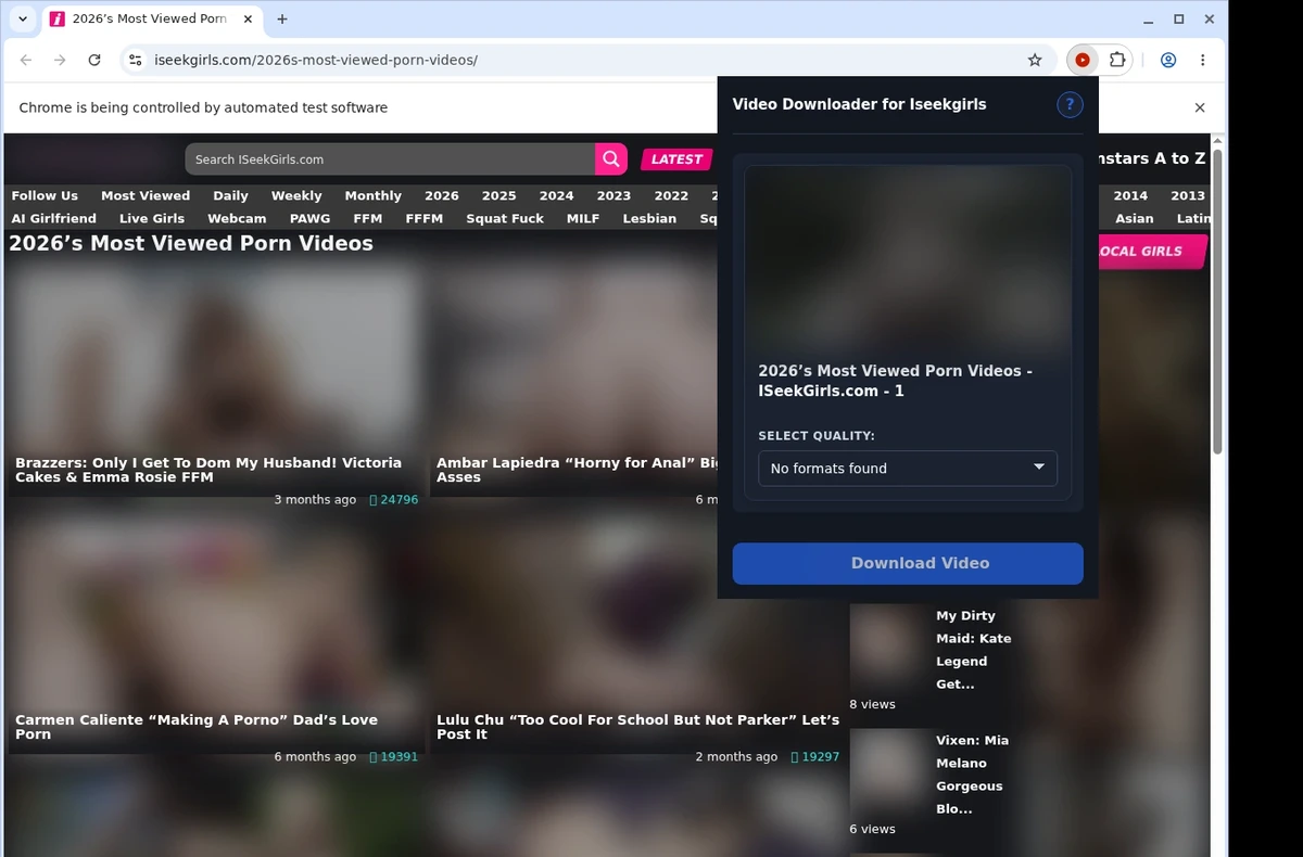 ISeekGirls Video Downloader ready state screenshot